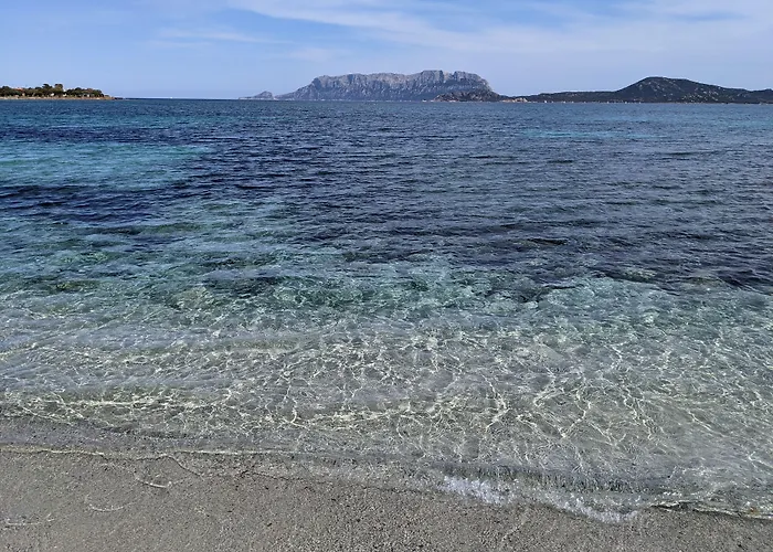 Gasthof La Promenade & Olbia